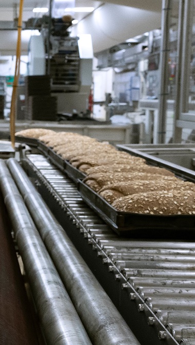 VAKEXPERT <br> VOEDING <br> TECHNOLOGIE <br> EN TECHNIEK <br> 