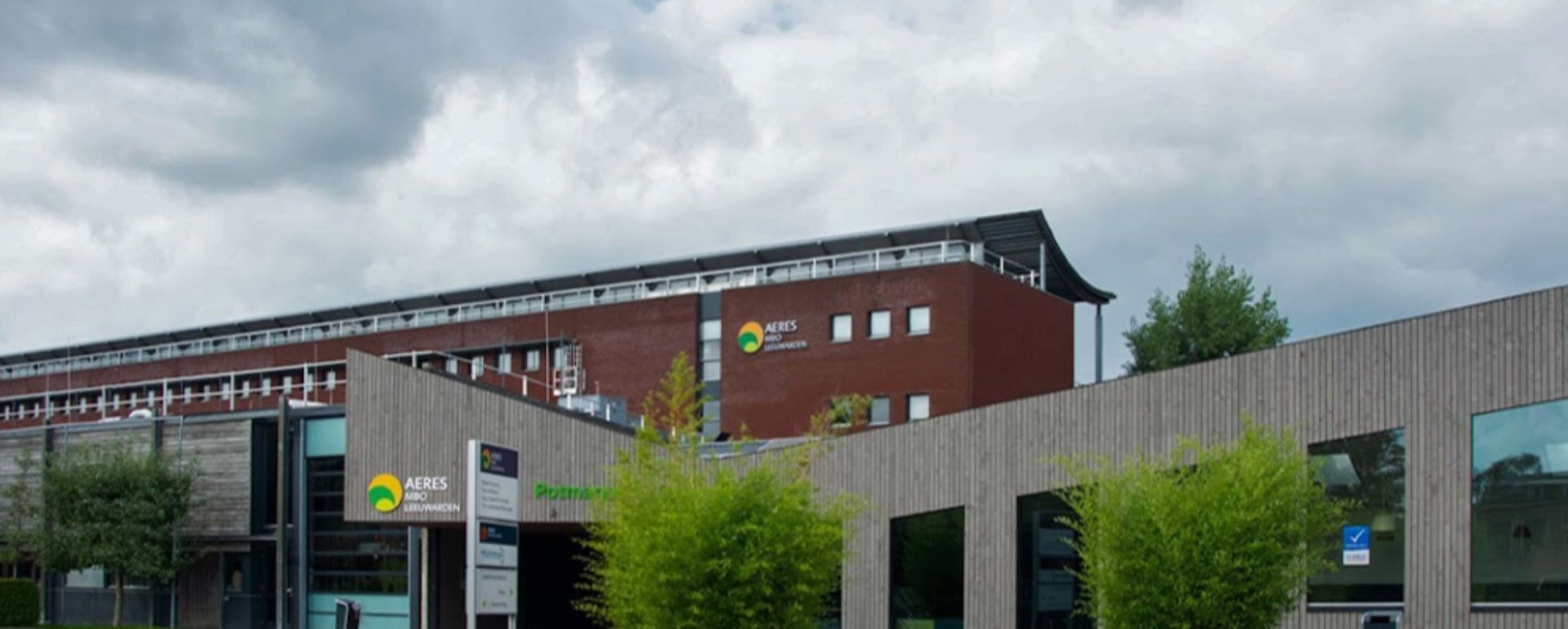 MBO Life Sciences 